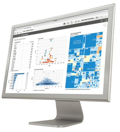 Qlik_EN (1)