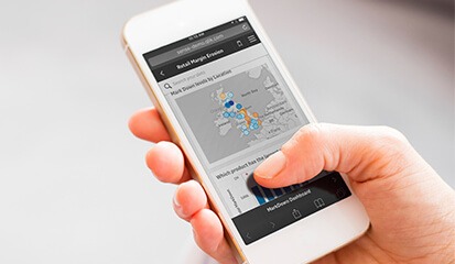 Qlik_EN (3)
