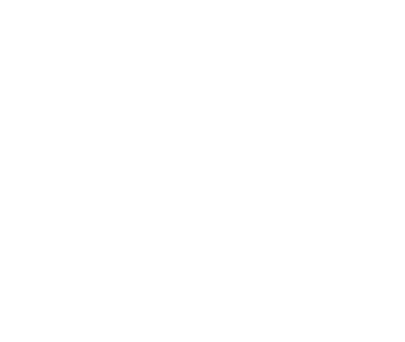 1 Icon