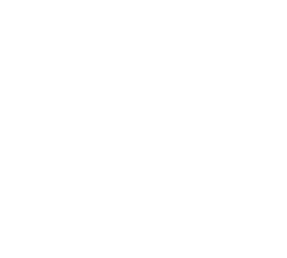 2 Icon