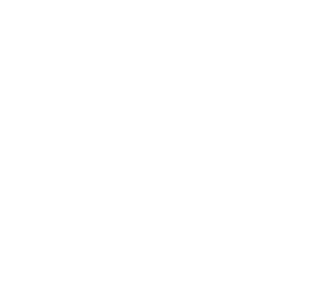 6 Icon